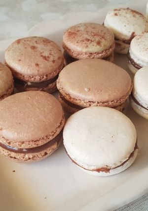 Une photo de Macaron