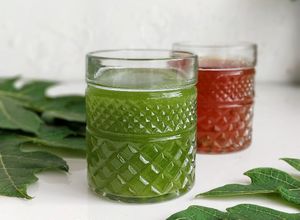 Foto resep Perasan Daun pepaya