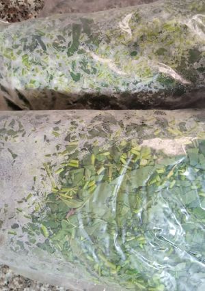 صورة لوصفة تفريز الخبيزة