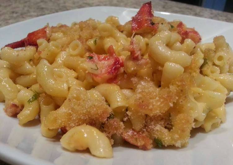 Steps to Prepare Perfect Lobster Mac &amp; Cheese