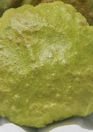 A picture of Palak Puri / Poori.