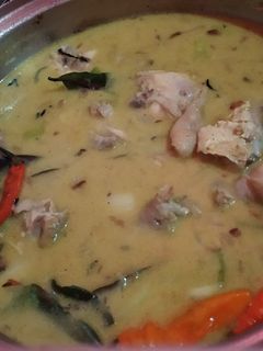 Foto resep Ayam opor bumbu instan