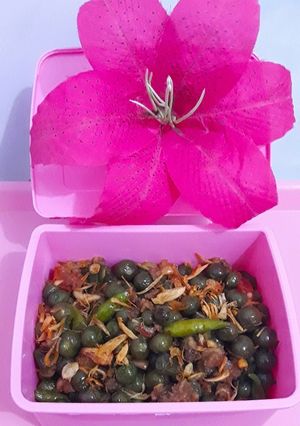 Foto resep Leunca Tumis Oncom