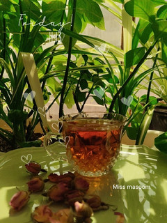 عکسی از دستور دمنوش چای کوهی