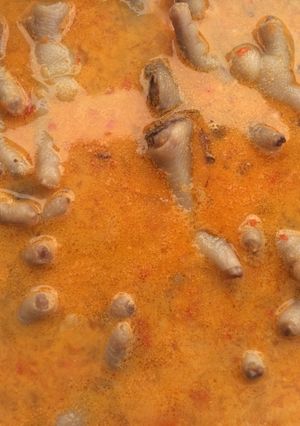 Foto resep Ceker pedes kuah santan