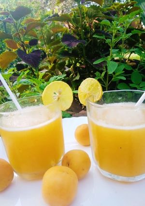 खुबानी का जूस (khubani ka juice recipe in Hindi) रेसिपी मुख्य फोटो