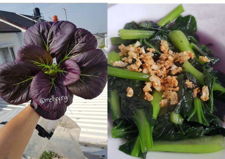 Resep Tumis pakcoy ungu hidroponik yang Enak