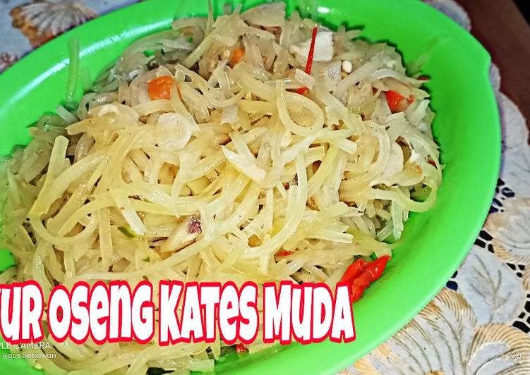 Cara Membuat Chah ebi Kates muda Anti Gagal