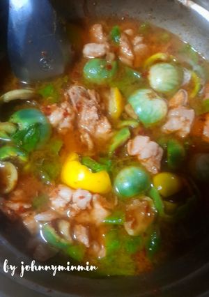 รูปของ แกงไก่น่องไก่