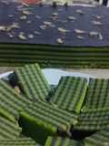 Kue Balapis Pandan Cokelat