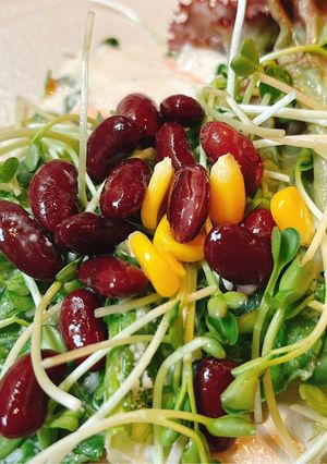 Hình của món Salad rau mầm đậu đỏ.