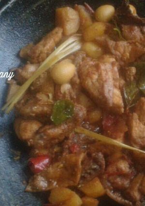 Foto resep 'Jangan' kecap tanpa santan