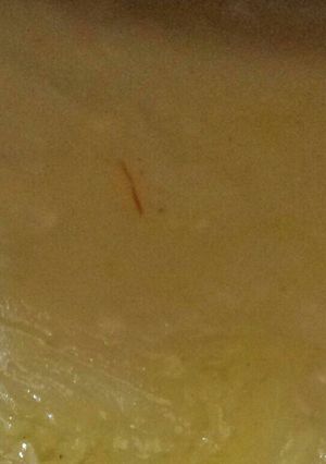 صورة لوصفة عصيده