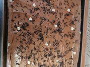Una foto de tarta de colacao y galletas