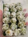Klepon
