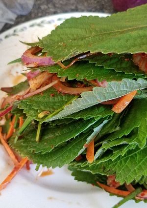 A picture of Perrila leaves kimchi.
