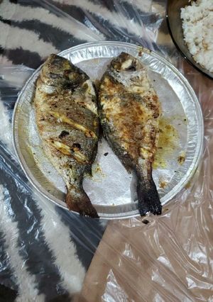 صورة لوصفة سمك دنيس مشوي بزيت وليمون