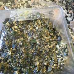 Una foto de Pesto de albahaca con nueces peladas