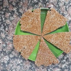 A picture of Chikki.