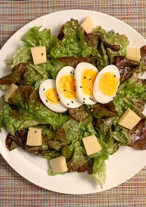 Une photo de Feuille de chêne rouge, avec sauce vinaigrette et comté (portion individuelle)