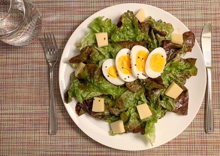 Recipe of Favorite Feuille de chêne rouge, avec sauce vinaigrette et comté (portion individuelle)