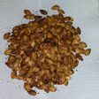 Spicy Cajun Roasted Pumpkin Seeds