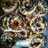 Donat empuk waterroux