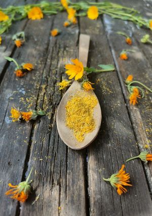 Foto di Polvere di petali di calendula