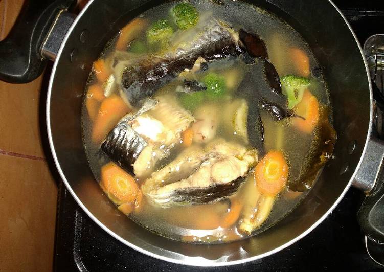 Sop ikan patin bening segar