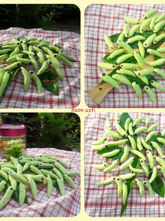 Foto resep Caterpillar Cokies / kue kering ulat
