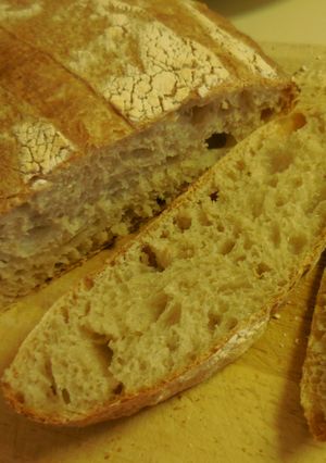 A picture of Overnight Sourdough Bread - Sticky Wet Dough.