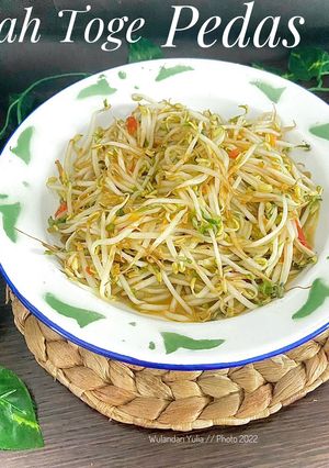 Foto resep Cah Toge Pedas