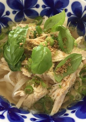 A picture of Turkey Pho, Vietnamese rice noodles, Gluten Free.