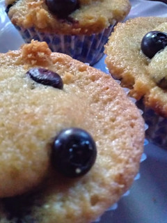 Una foto de Muffins con aceite y arándanos