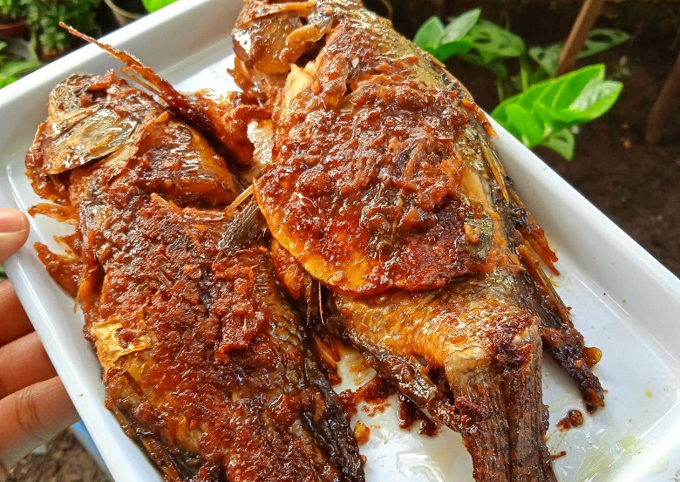 Bumbu Ikan Bakar/Ayam Bakar