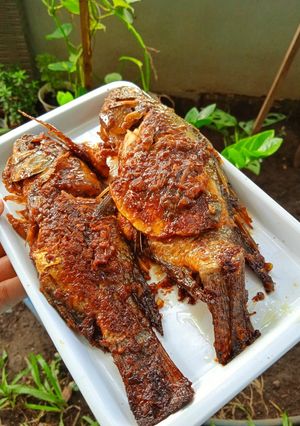 Foto resep Bumbu Ikan Bakar/Ayam Bakar