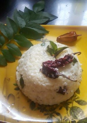 A picture of Curd rice.