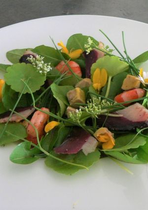 Une photo de Salade terre-mer aux jeunes pousses et herbes sauvages