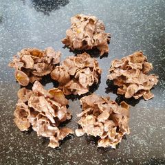 A picture of Corn flakes cluster.