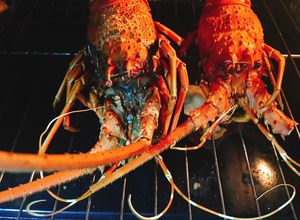 Hình của món Tôm Hùm Nướng Mọi.