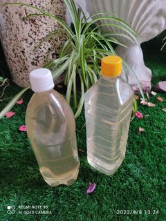 عکسی از دستور عرق بهار نارنج