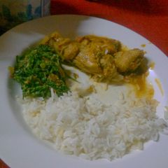 A picture of Stewed  chicken served  with rice and greens.