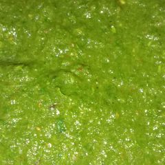 A picture of Green Chutney.