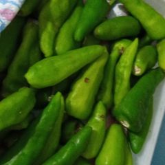 A picture of Green chilli.