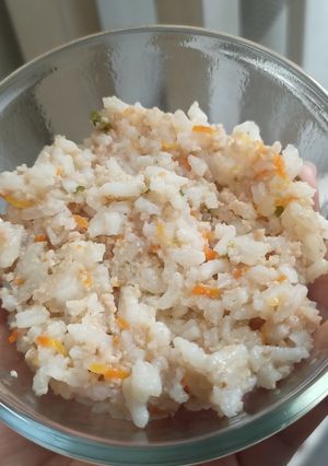 Foto resep Nasi Ayam Hainam Praktis (MPASI 1+/menu keluarga)