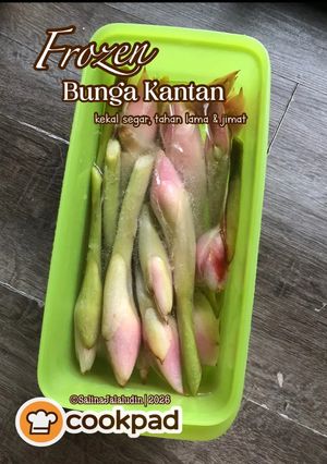 Gambar Frozen Bunga Kantan