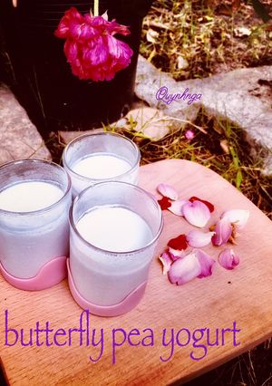 Hình của món Sữa chua hoa đậu biếc (butterfly pea yogurt).