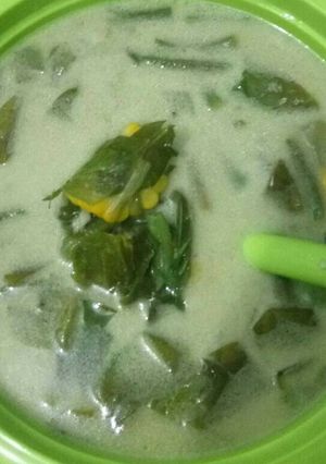Foto resep Sayur Lodeh ala mama 3G