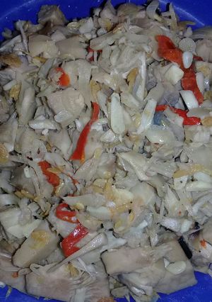 Foto resep Tumis nangka muda (tEwEl)