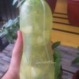 Infused Water Day 1